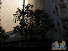 华伦公寓 3室2厅 南