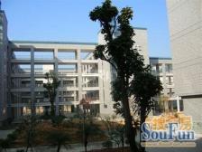 04商品房 户型方正 南面是花园少有的116平大三房