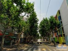 内环边,近8号线,精装修控二,朝南不靠马路