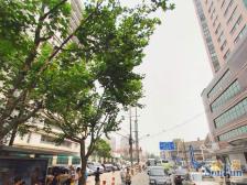 斜土路大木桥·清枫大楼·2室·1厅