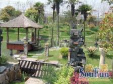 小区纯地上二层,位置安静,东南临河