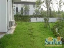 近地铁,临河独栋别墅,无地下室,边套