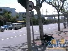 笋盘小区花园位置 全明户型 业主诚售 看房随时!