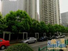 双南大两房,此房业主诚意出售,税费各付,看房方便