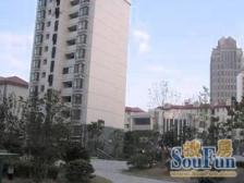 园林小区、双卫大三房,无遮挡带院子、送固定车位、钥匙在手