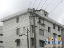 新出炉希缺煌金楼层三房,免爬楼烦恼,生活自在从容