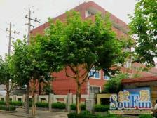 A级新出房源,金桥中环烫金地段,低楼层上下楼方便。