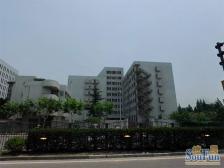 新上好房不看白来!近园南电梯房高区+朝南+书本没用