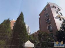 龙之梦商圈配套,近鲁迅公园,低楼层