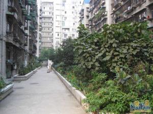 富丽苑3室1厅东南