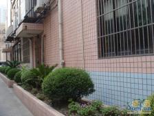 福鑫大楼 2室1厅 东 北 东北