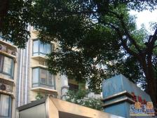 电梯房,大开间,交通便利,环境优美,精装修,精装好房