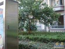 东方文苑 4室2厅 南