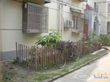 真建一小区 2室1厅 南 北