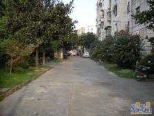 次顶层中间位置采光刺眼全明户型诚意出售