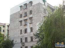 普陀区 低总价一房 精装修 楼层好