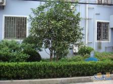 曲阳 · 原林小区 · 2室 · 1厅