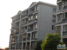 安居古浪新苑 2室1厅 南 北