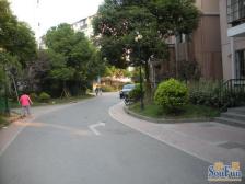 新笋盘 (诚意卖 可大聊)安居古浪新苑 · 2室 · 1厅