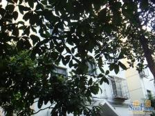 黄外晓+大筒初,世博滨江·金中苑·3室·1厅,看房方便