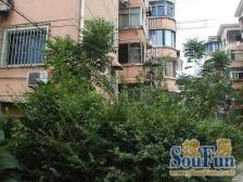 彭浦 · 三泉路424弄 · 2室 · 1厅