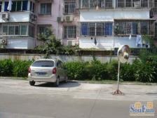 飘鹰公寓3室东朝向545.00万元/套出售