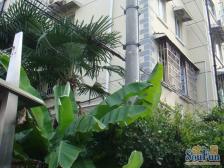 三林·锦翠苑·2室·2厅