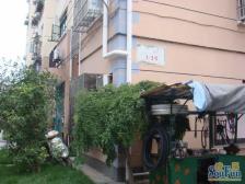 丽园新村 1室1厅 南