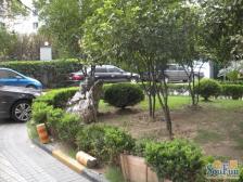 武宁路地铁口,两梯两户,烫金地段,大平层,业主诚售