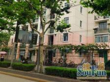 游泳馆对面 复旦 11 号线口 南北全明 1 房