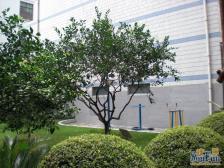 户型正气,全南全明,采光全天,看房方便