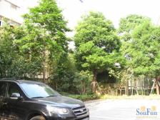 电梯房,大开间,环境优美,精装修,诚意出售