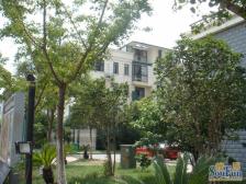 徐滨新上精装3房,一年一套,02年商品房,南北双阳台