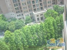 碧云社区高区景观大一房,随时可看,价格好谈。