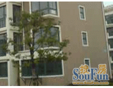 临汾路街道+文明小区+一梯两户+三房一厅+全明户型