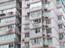 中高区看陆家嘴三件套,精装修,拎包入住