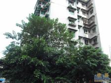 五里店 建国村小区三房90万