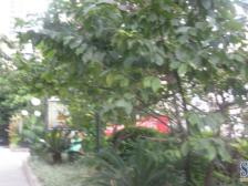 五里店 建国村小区二房60万