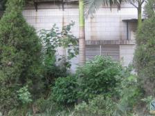 五里店 建国村小区二房45.8万