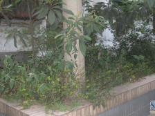 五里店 建国村小区二房