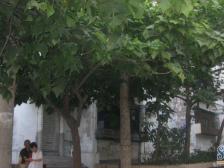 五里店 建国村小区二房39万