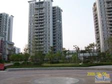 富抱泉花园唯有几套的顶跃,视野看汽博方向。