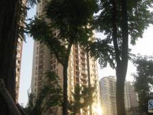 观音桥 青青雅舍二房98万