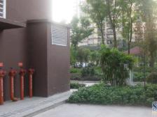 青青雅舍 小区电梯两室 无非税 业主安心卖