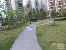 人和 富抱泉花园三房102万