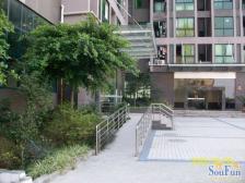 鸳鸯 金城银樽一房55万