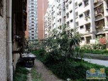 嘉本花园 2室1厅 东 东南