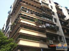 楼梯房+户型方正+采光好+交通方便+轻轨房