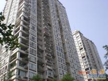 金山路158号 3室2厅 南 北