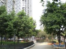 环线南湖站 精装三房 交通便利